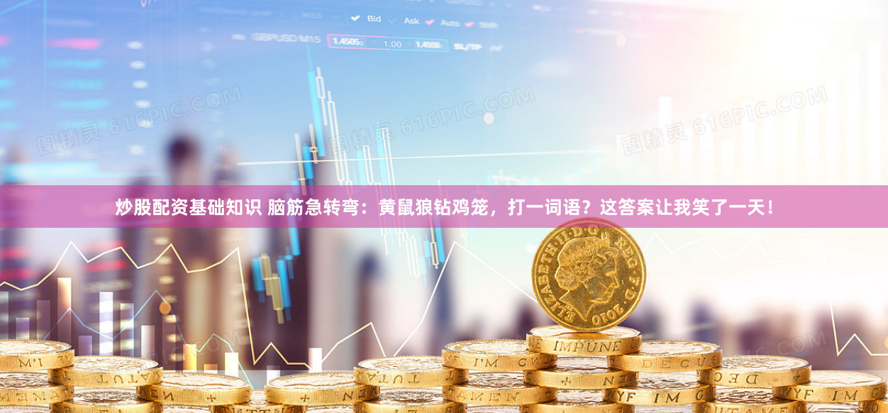 炒股配资基础知识 脑筋急转弯：黄鼠狼钻鸡笼，打一词语？这答案让我笑了一天！