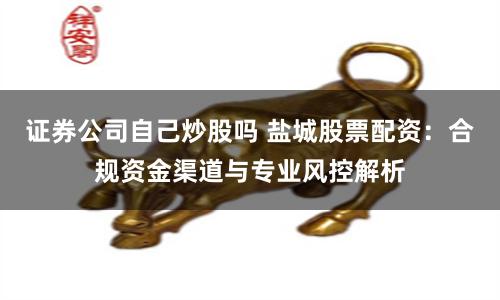 证券公司自己炒股吗 盐城股票配资：合规资金渠道与专业风控解析