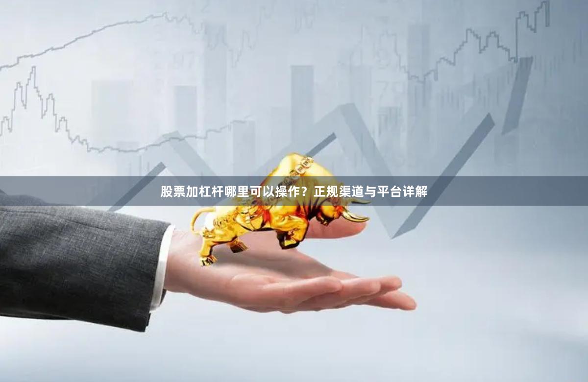 股票加杠杆哪里可以操作？正规渠道与平台详解