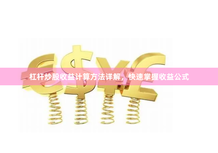 杠杆炒股收益计算方法详解，快速掌握收益公式