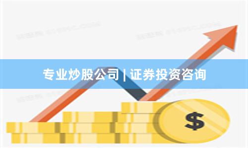专业炒股公司 | 证券投资咨询