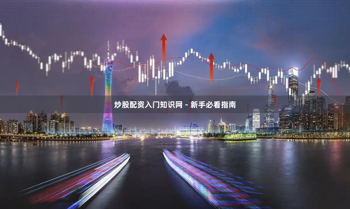 炒股配资入门知识网 - 新手必看指南